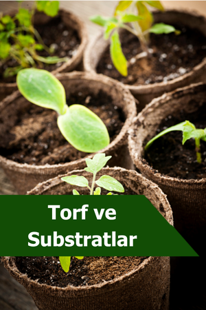 Torf ve Substratlar