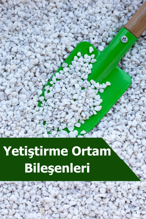 Yetiştirme Ortam Bileşenleri
